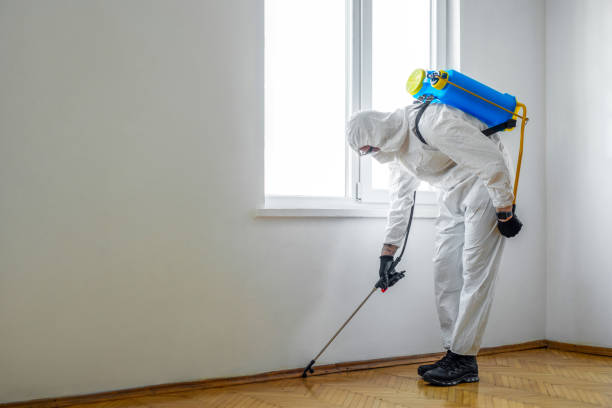 Best Commercial Pest Control  in East Griffin, GA